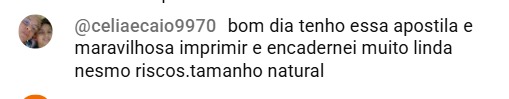 Comentário sobre a apostila Bordando Roupas
